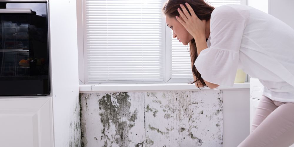 Mẹo chống ẩm mốc tiết kiệm chi phí