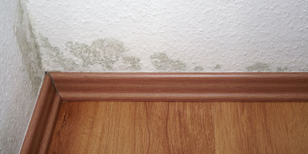 Mẹo chống ẩm mốc cho phòng ngủ