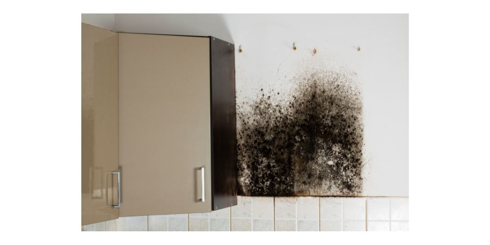 Mẹo chống ẩm mốc phòng bếp và phòng tắm