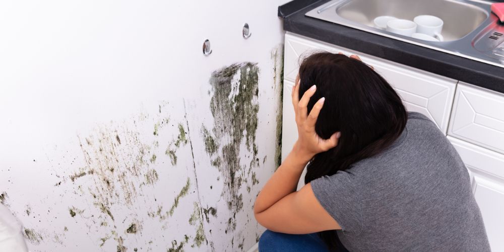 Nguyên nhân gây ẩm mốc trong nhà