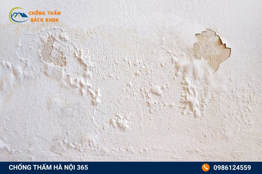 Điều kiện khí hậu là một yếu tố chính gây thấm dột nhà cửa